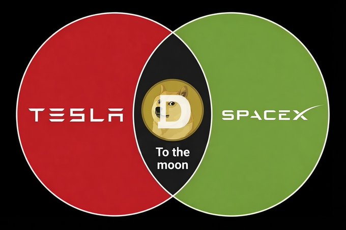 A Venn diagram showing the overlap between Tesla (red) and SpaceX (green), with the Dogecoin 'To the moon' logo in the intersection.