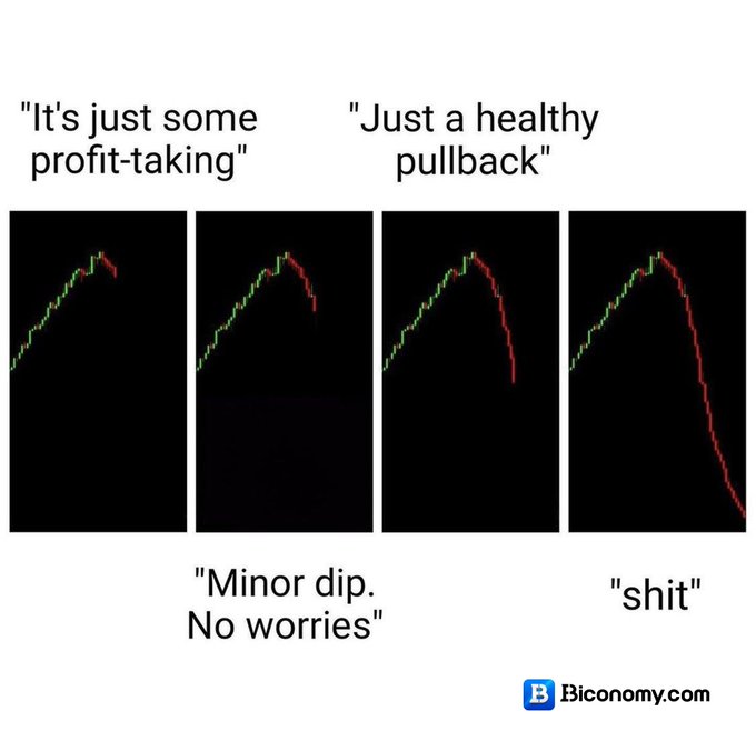 The image is a four-panel meme showing a candlestick chart at progressive stages of a price crash, with captions reading "It's just some profit-taking," "Just a healthy pullback," "Minor dip. No worries," and "shit," illustrating the four stages of denial crypto investors go through as prices plummet, watermarked with "Bconomy.com."