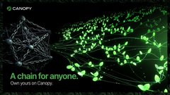 The image is a Canopy promotional graphic featuring a globe overlaid with network nodes and green leaf-like data points, captioned "A chain for anyone. Own yours on Canopy." It visually represents Canopy's blockchain network infrastructure, complementing the post's mention of safely engaging with Web3 activities like stacking Quip Points on @quipnetwork while staying protected from quantum threats.