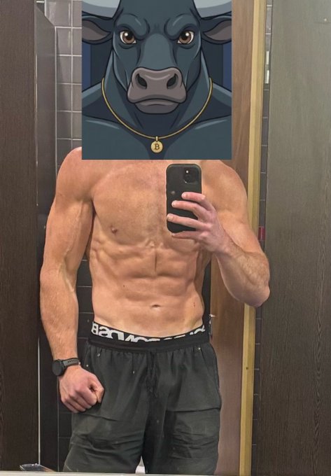 A shirtless muscular man taking a mirror selfie, with his face covered by an illustration of a black bull wearing a gold Bitcoin necklace.