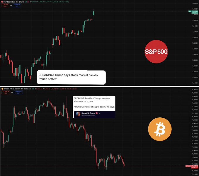 The image features a chart with Bitcoin and an email signature from a person named Jack, showing the cryptocurrency market's price fluctuations for Trump's tweets. The image displays two separate lines - one representing Bitcoin values on a downward trend, while the other line indicates Trump's tweets about the stock market trends. These lines intersect at the beginning of Trump's speech about the stock market in the email signature. This visual representation helps viewers to understand how the conversation unfolds over time and highlights the relationship between the President's tweets and the changes in cryptocurrency prices.