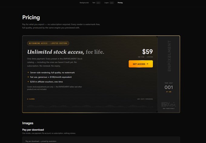 A dark-themed pricing page for an Empilement stock catalog offering 'FOUNDING ACCESS - LIMITED EDITION' at 'Unlimited stock access, for life.' for $59 one-time payment, with a 'GET ACCESS' button.