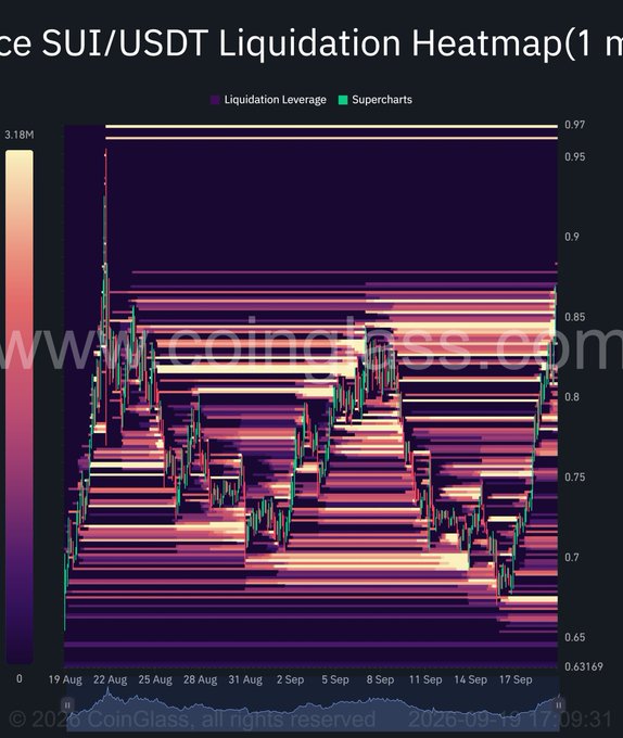 A 'SUI/USDT Liquidation Heatmap' chart showing liquidation leverage data from CoinGlass.