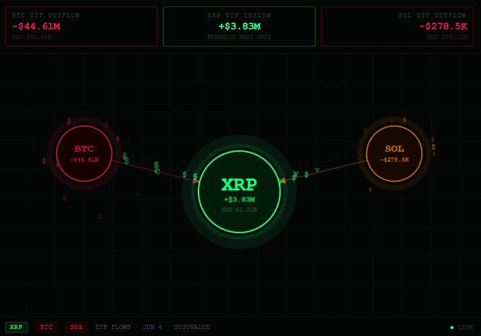 The image shows a computer screen displaying three circles with different colors, including red, green, and orange. Each circle represents a cryptocurrency symbol or name, such as Bitcoin, Ripple, and Sol. The text "XRP" is also present on the screen. The caption of the image reads "Focus on what is in the image and how it relates to the post". This suggests that the image might be related to a discussion about cryptocurrencies or their market trends, with XRP being one of the topics being discussed.