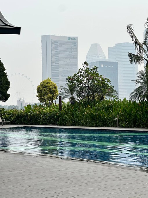 A view from a resort pool deck featuring lush tropical greenery, with a hazy skyline of Singapore's UOB Plaza, Pan Pacific, and the Singapore Flyer visible in the background.