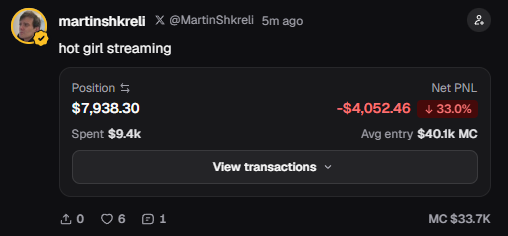 A screenshot of a tweet from @MartinShkreli showing a trading position with a $7,938.30 net P/L of -$4,052.46 (-33.0%) and an average entry of $40.1k MC, captioned "hot girl streaming" — humorously tying his significant loss on a small-cap streaming token to his tongue-in-cheek comment about leaving Solana in capable hands.