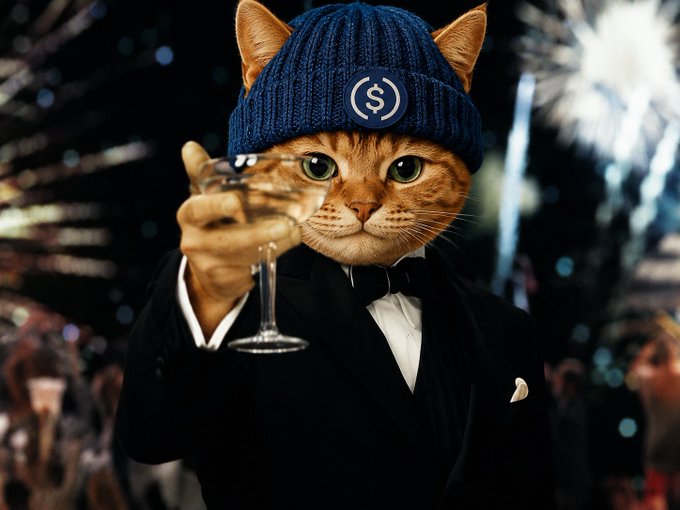 The image features a cat wearing a blue knit cap, holding a glass of wine or champagne up to its face as if toasting. The caption reads "Pay no mind to the pest. It will disappear soon enough. There’s only one $CATWIF and that's the one with the blue hat and only on $USDC".