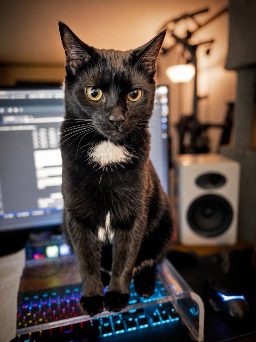 In this image, there is a black cat sitting atop a computer keyboard, giving an interesting view of both the feline's face as well as its curious position next to two computer speakers. The cat appears to be staring at the camera with its eyes wide open, possibly intrigued by something happening in front of it or showing affection towards its owner who might have their attention captured by this unusual sight.
