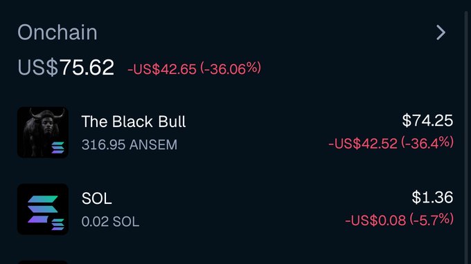 A dark-themed portfolio app screen shows the 'Onchain' holdings tab with a total value of US$75.62, down US$42.65 (-36.06%). It lists two assets: 'The Black Bull' (316.95 ANSEM) at $74.25, down 36.4%, and SOL (0.02 SOL) at $1.36, down 5.7%.