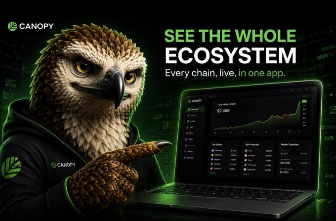 An anthropomorphic hawk wearing a black Canopy-branded hoodie points toward a laptop displaying the Canopy dashboard with charts showing a $2,456 value, top chains, protocols, and market overview metrics against the tagline "SEE THE WHOLE ECOSYSTEM - Every chain, live, in one app." The image reinforces the post's message by visually showcasing Canopy Network's user-friendly, all-in-one multi-chain development and monitoring platform.
