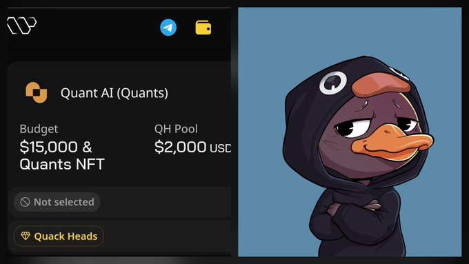 Screenshot of a 'Quack Heads' NFT platform listing 'Quant AI (Quants)' with a budget of '$15,000 & Quants NFT' and 'QH Pool $2,000 USD', alongside a cartoon duck character wearing a hoodie.