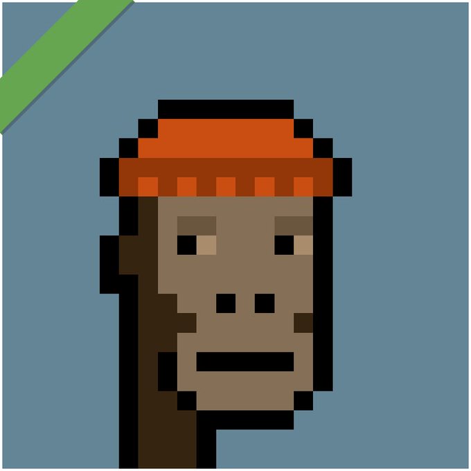 A pixel art portrait of a dark-skinned character wearing an orange beanie against a gray background.
