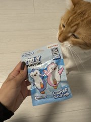 A hand holds a package of 'Zollipops' lollipops in front of an orange cat sniffing at the treats.