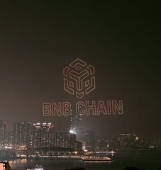A nighttime cityscape photograph overlaid with a glowing red neon logo and text that reads 'BNB CHAIN'.