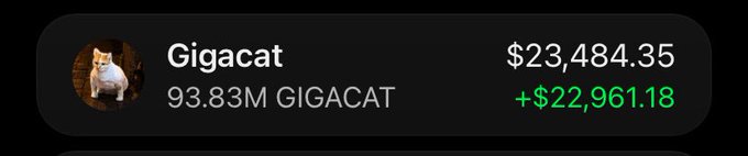 A cryptocurrency portfolio display showing 'Gigacat' with holdings of 93.83M GIGACAT valued at $23,484.35, with a gain of +$22,961.18 shown in green.