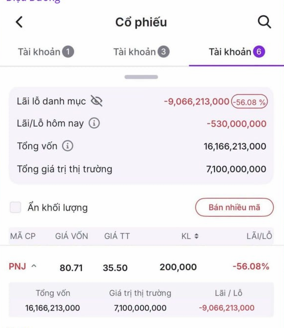A screenshot of a Vietnamese stock portfolio (Tài khoản 6) showing a devastating -9,066,213,000 VND (-56.08%) loss on 200,000 PNJ shares, bought at 80.71 but now worth only 35.50 — illustrating the post's lament about being "burned" by PNJ stock.
