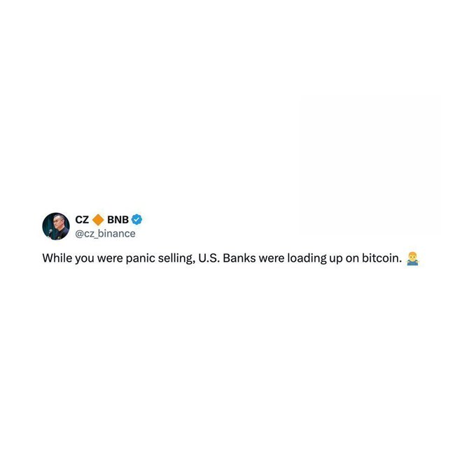 The image shows a white background with text written in black, which reads "While you were panic selling, U.S. banks were loading up Bitcoin." The caption provides information about the cryptocurrency market and its impact on traditional banking institutions.