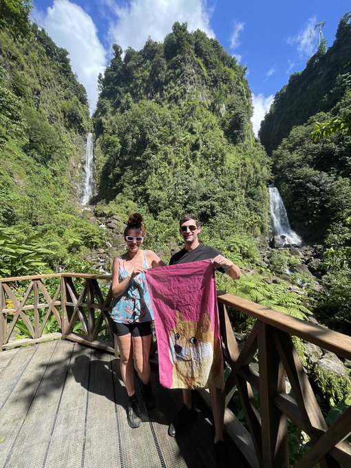 A couple stands on a wooden platform in front of twin waterfalls, holding up a pink towel featuring a hamster wearing sunglasses.