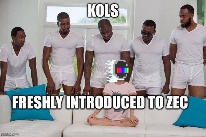 A meme featuring five men in white t-shirts and shorts standing over a seated person whose head is replaced by a static TV icon, with text reading "KOLS" at the top and "FRESHLY INTRODUCED TO ZEC" at the bottom.
