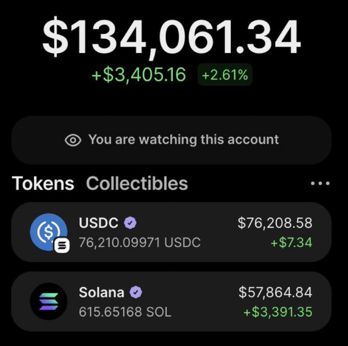 A cryptocurrency wallet interface displays a total balance of $134,061.34 with a gain of +$3,405.16 (+2.61%), holding 76,210.09971 USDC ($76,208.58) and 615.65168 SOL ($57,864.84), with a notification indicating 'You are watching this account.'