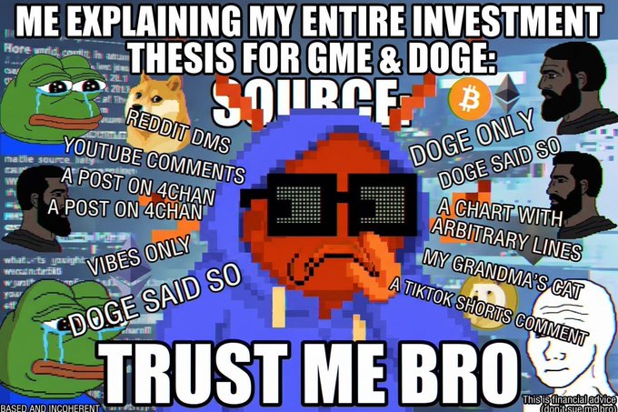 A meme captioned 'ME EXPLAINING MY ENTIRE INVESTMENT THESIS FOR GME & DOGE' lists humorous sources like 'REDDIT DMS', 'YOUTUBE COMMENTS', and 'DOGE SAID SO' around crying Pepe characters, ending with 'TRUST ME BRO'.
