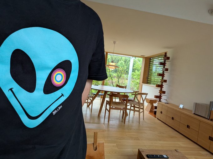 A person wearing a black t-shirt with a blue alien face design stands in a modern, bright home with wooden furniture and large windows.