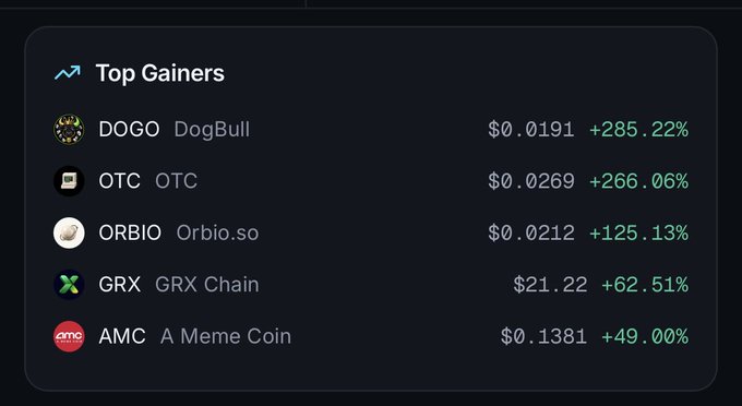 A 'Top Gainers' cryptocurrency leaderboard showing Dogo (DogBull) up 285.22%, OTC up 266.06%, Orbio.so up 125.13%, GRX Chain up 62.51%, and AMC (A Meme Coin) up 49.00%.