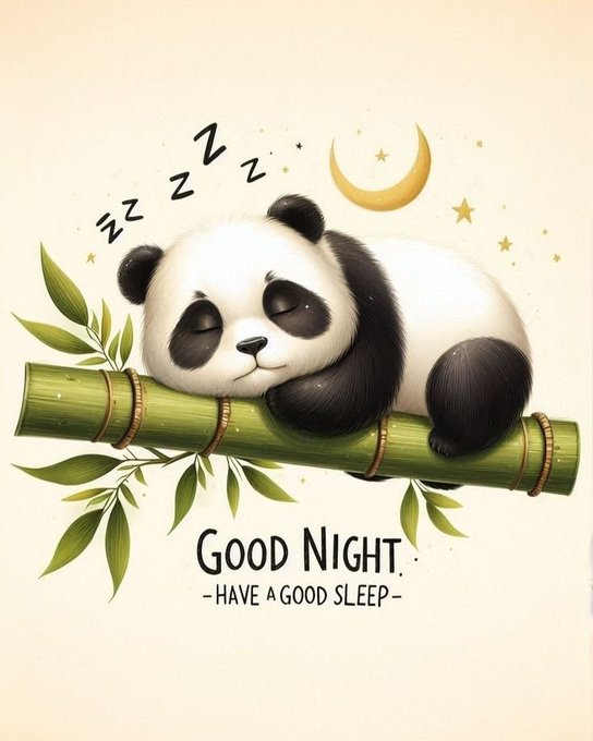 A cute illustration of a sleeping panda resting on a bamboo branch with 'Zzz' symbols and a crescent moon, accompanied by the text 'Good Night. -Have a good sleep-'.