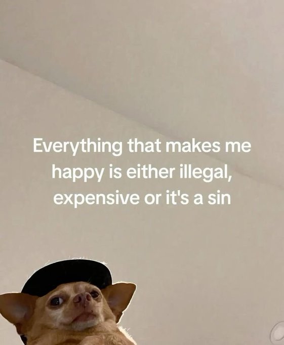 A small brown Chihuahua wearing a black baseball cap looks up at the camera, with overlaid text reading "Everything that makes me happy is either illegal, expensive or it's a sin" against a plain beige wall background.