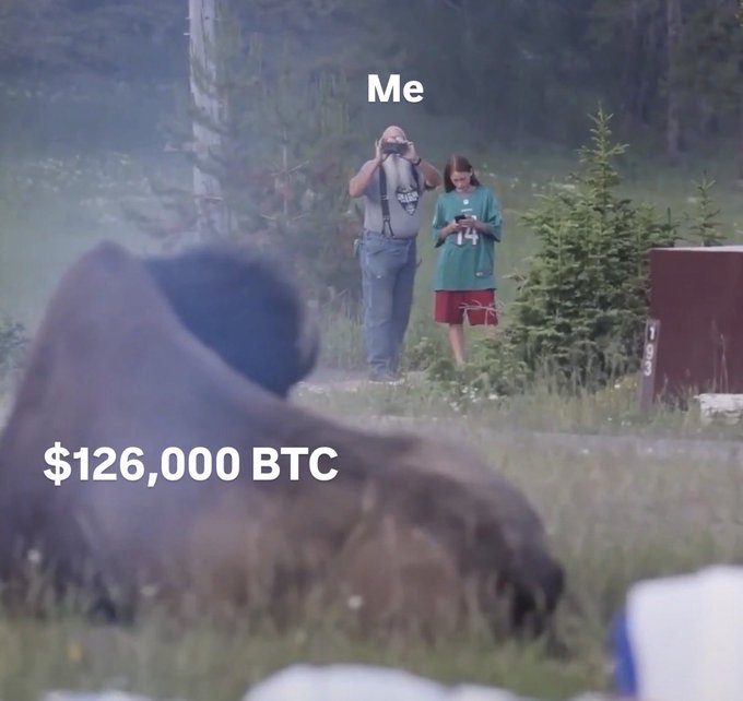 A massive bear lurks in the foreground while a man labeled "Me" photographs it from a safe distance, captioned with "$126,000 BTC." The image humorously illustrates the "Take profits, not pictures" message by showing the photographer focused on capturing the bearish moment rather than securing gains before Bitcoin's price potentially drops.