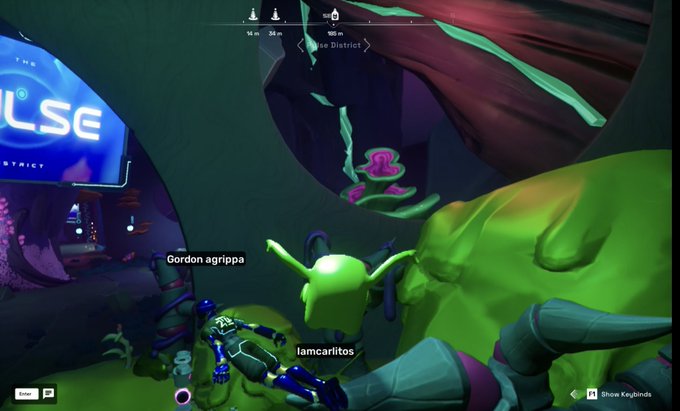 A first-person view from a video game shows a colorful underwater or alien environment with green terrain, coral-like structures, and player names 'Gordon agrippa' and 'lamcariltos' visible on screen.