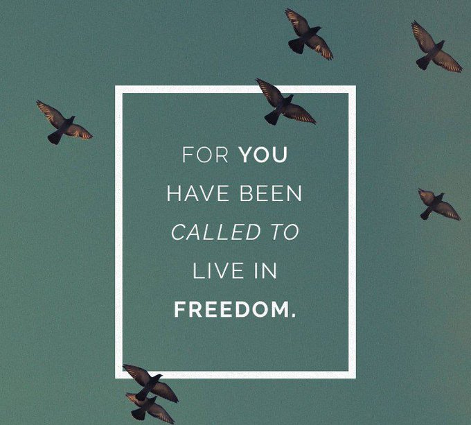 A teal graphic features birds in flight with the white text 'FOR YOU HAVE BEEN CALLED TO LIVE IN FREEDOM.' inside a square frame.