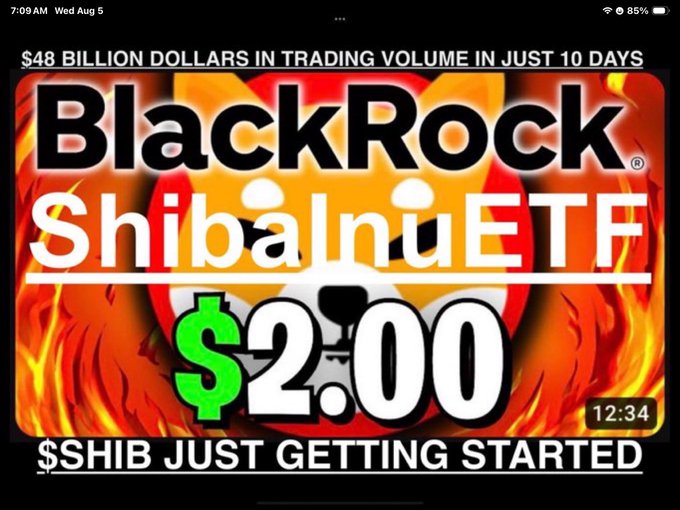 A fiery promotional graphic featuring a Shiba Inu dog face in flames displays "BlackRock ShibaInu ETF" with a bold "$2.00" price target, alongside claims of "$48 BILLION DOLLARS IN TRADING VOLUME IN JUST 10 DAYS" and "$SHIB JUST GETTING STARTED," visually amplifying the post's hype about the rumored ETF launch and its potential to shake the crypto market.