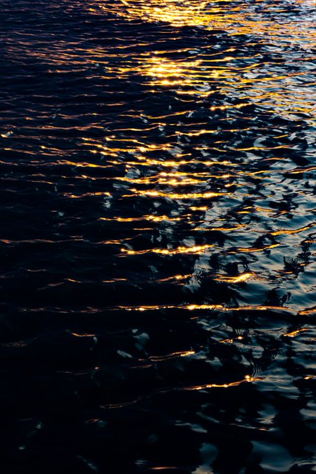 A close-up photograph of dark rippling water reflecting golden light, likely from a sunset or sunrise.