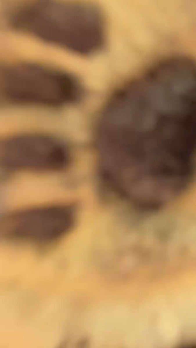 The image features a close-up view of an animal paw with brown spots against a light beige background. The paw appears to have been painted or drawn, possibly as part of a creative project or art piece. The caption below the image reads "A Special Gift for @mamebnb & the Mame Inu Community I spent around 50 hours creating this artwork, and I hope everyone in the community enjoys it as much as I enjoyed making it".