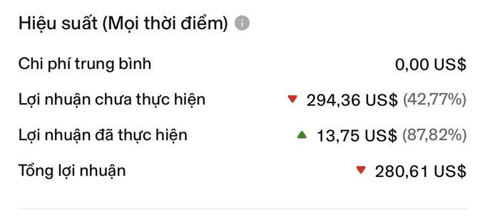 A performance metrics dashboard in Vietnamese showing 'Hiệu suất (Mọi thời điểm)' with an average cost of 0.00 US$, unrealized profit of 294.36 US$ (down 42.77%), realized profit of 13.75 US$ (up 87.82%), and total profit of 280.61 US$.
