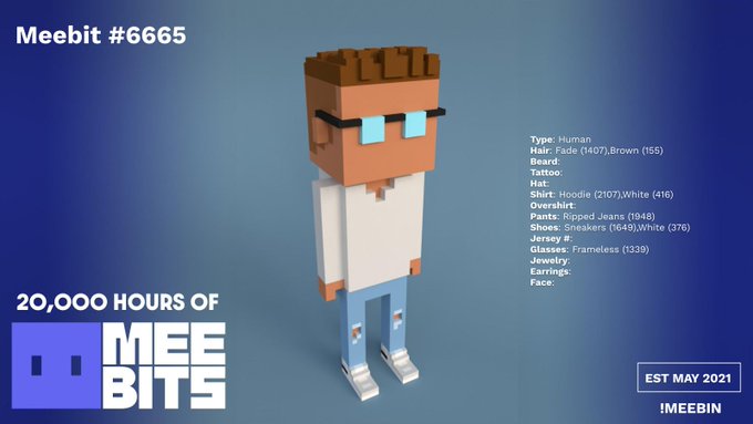 A Meebit NFT (#6665) voxel character with brown hair and blue glasses, labeled '20,000 HOURS OF MEEBITS' and 'EST MAY 2021'.
