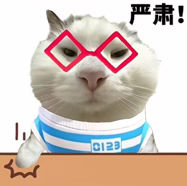 A serious white cat wearing red diamond-shaped glasses and a blue-and-white striped shirt with "0123" on it glares at the viewer, accompanied by the Chinese text "严肃!" ("Serious!") in the top right corner. The image appears to serve as a stern visual reminder or announcement graphic related to the listed NFT mint schedule.
