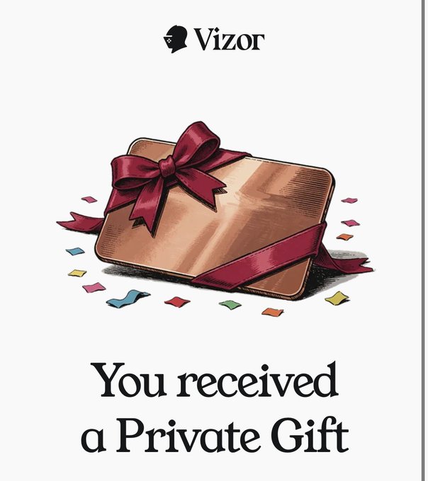 An illustrated graphic shows a brown gift box with a red bow and confetti, with the Vizor logo at the top and text reading 'You received a Private Gift.'