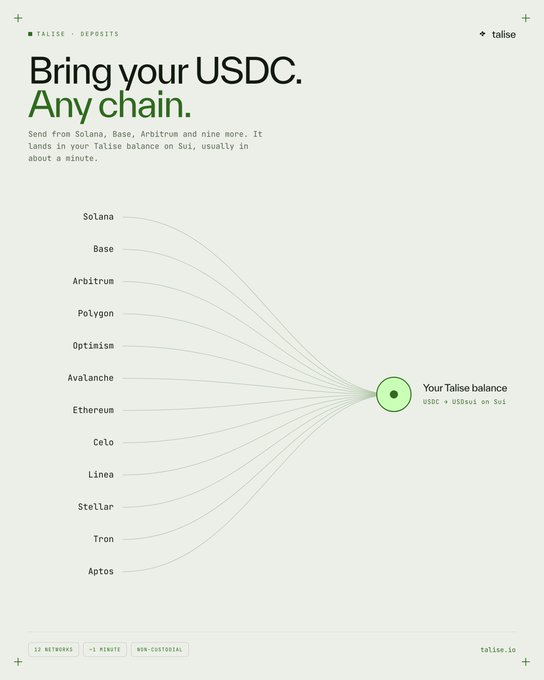 A Talise promotional graphic titled 'Bring your USDC. Any chain.' listing networks like Solana, Base, Arbitrum, and Ethereum, all connecting to 'Your Talise balance' on Sui.
