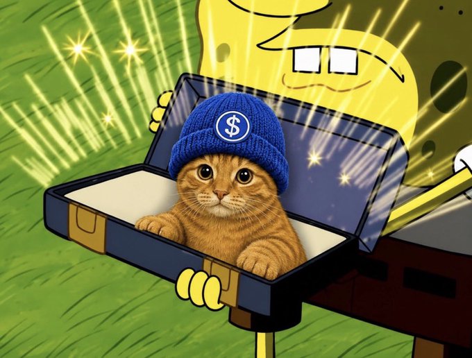 An orange cat wearing a blue beanie with a "$" symbol sits inside an open briefcase held by a SpongeBob-like character with sparkling effects in the background. The image playfully visualizes the "$100,000 giveaway" of the $CATWIF token (contract: 5pYB12kEhfhSFXJjZ7tyqDpt6uUqhsF6iu6Ee9spump), using the cat in a briefcase as a metaphor for the crypto prize being offered to those who drop their Solana address.