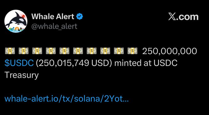 The image shows a post containing text that includes information about money and cryptocurrency. The title of the post states "Whale Alert", and there are numbers displayed around the main text, suggesting that this may be a tweet or a message on social media platform. It also mentions an announcement from the USDC Treasury indicating they have just minted $250,000,000 worth of USDC currency. A hashtag, #whalealert, is present in the image as well, possibly indicating the source of the information or the topic being discussed. The post includes a caption about the announcement which further elaborates on the recent development related to money and cryptocurrency.