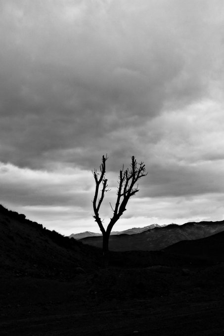 A black and white atmospheric photograph of a lone bare tree silhouetted against a cloudy sky in a mountainous landscape.