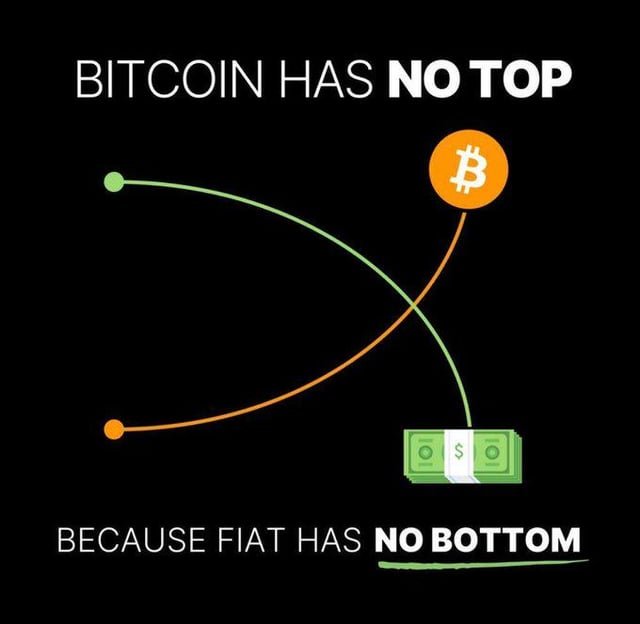 A graphic on a black background illustrates the relationship between Bitcoin and fiat currency with two crossing arcs—an orange line with a Bitcoin symbol rising sharply and a green line with a cash symbol falling steeply. The text reads "BITCOIN HAS **NO TOP**" at the top and "BECAUSE FIAT HAS **NO BOTTOM**" at the bottom, reinforcing the post's message that Bitcoin's price will continue upward as fiat currency's value declines indefinitely.