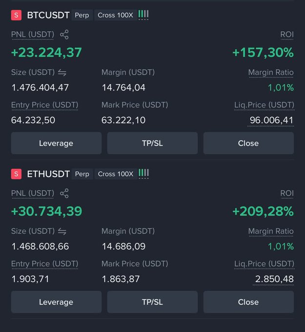 A cryptocurrency trading interface showing profitable positions on BTCUSDT Perp (+157.30% ROI) and ETHUSDT Perp (+209.28% ROI) with 100x cross leverage and details including entry prices, mark prices, and liquidation prices.