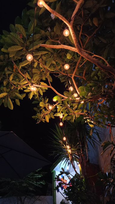 A nighttime outdoor scene featuring a tree adorned with warm, glowing string lights among its leaves and branches.