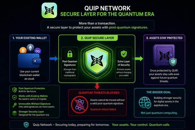 An infographic for 'QUIP NETWORK' describing it as a 'SECURE LAYER FOR THE QUANTUM ERA' that protects crypto assets using post-quantum signatures without requiring wallet changes.