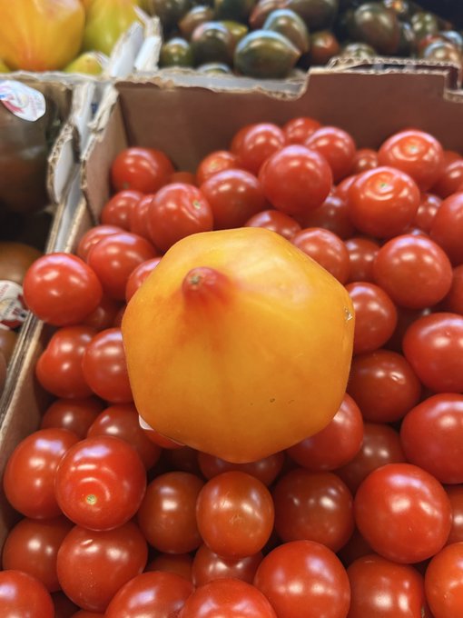 A uniquely shaped, yellow-orange heirloom tomato with a reddish top sits prominently on top of a cardboard box filled with smaller, round red tomatoes at a market.
