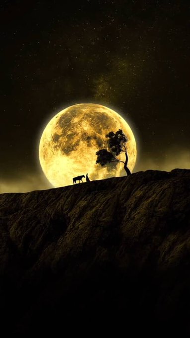 A silhouette of a person sitting on a rocky ridge beneath a large, glowing full moon, with a sparse tree nearby and a starry sky above.