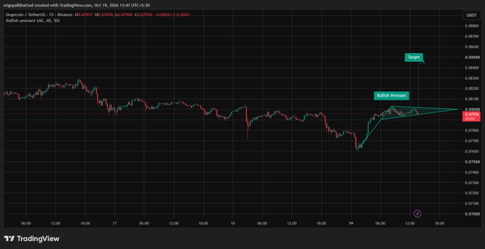 A TradingView chart displays the DOGE/USDT pair on Binance, showing a 24-hour change of -1.73% at 0.07948, with a technical analysis pattern marking a 'Bullish Pennant' and a 'Target' near 0.085.